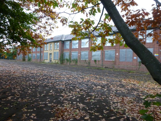 Grove Park School October 2017